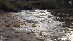 Озеро Кадам/ Усть-Куломский район