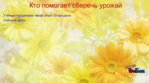 Растениеводство в нашем крае