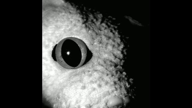 Страшные лица Кота Оцелота смотреть онлайн