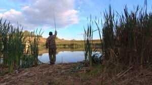 Ловля карася на маховую удочку с поплавком. Рыбалка в спокойном для меня месте.