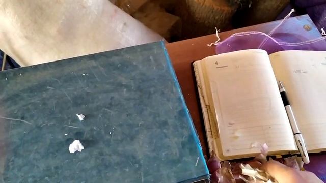 Сколько нужно чеснока для посадки? Пример рассчёта.
