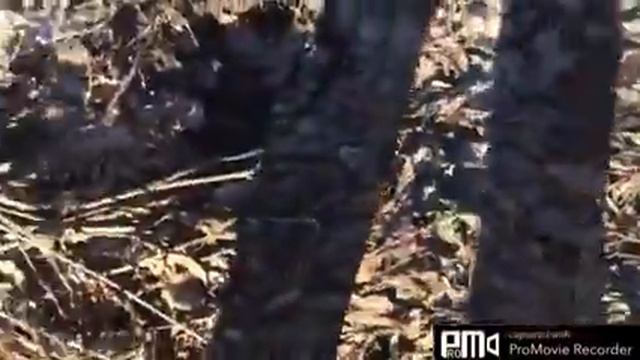 Первая поездка на дачу(14.04) смотреть онлайн