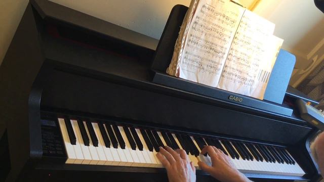 Stranger on the Shore on Casio/Bechstein hybrid piano. смотреть онлайн