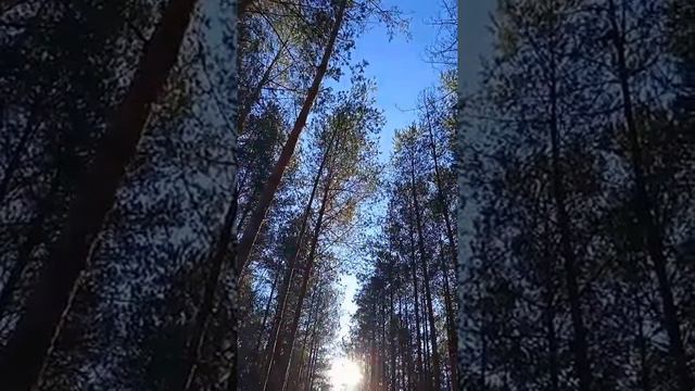 "Ночь" Александр Бардин поет песню,группа САДко. смотреть онлайн