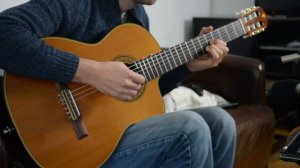 Laid Back - Sunshine Reggae (fingerstyle) | Jane and the coolcats