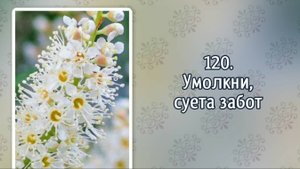 Гимны надежды 120 Умолкни, суета забот (-)