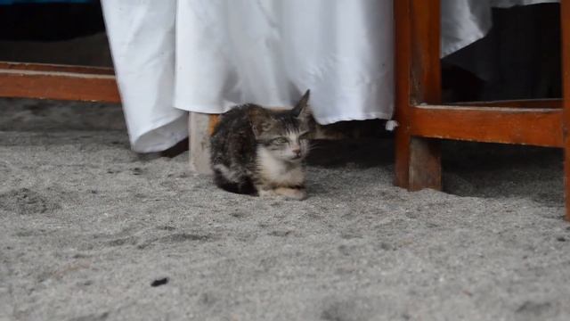 КАКОЙ САМЫЙ ЛУЧШИЙ ПЛЯЖ НА БАЛИ ?