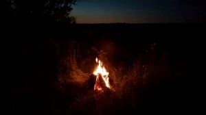 Страшные истории на ночь-Сборник историй на ночь.Рассказ сторожа/Звонок в ночи/Запретные земли.