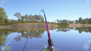 Пузанок Каспийский. Сельдь Бражникова.  Ахтуба. Очень активно клюет. РР4