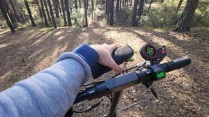 лёгкое бездорожье на электро самокате