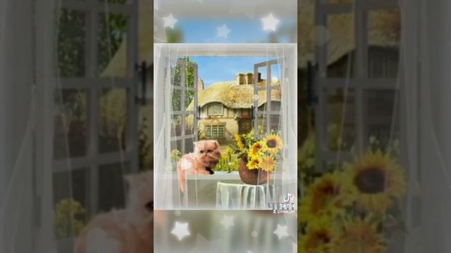 Доброго осеннего утра! Чудесного дня! смотреть онлайн