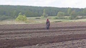 Посадка картофеля. МТЗ-80 и СН-4Б