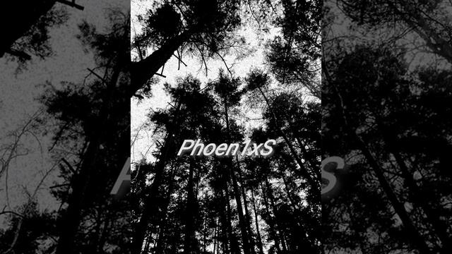 Phoen1xS-Вечное горе