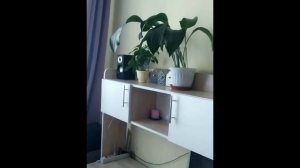 #Шкаф своими руками из картона на колесиках с ящиками.