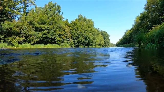 Relaxation.4К. ПЕНИЕ ПТИЦ В ЛЕСУ ДЛЯ СНА. .Снимает стресс, укрепляет нервную систему.Хороший сон. смотреть онлайн