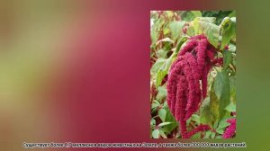 15 ФАКТОВ О ЗЕМЛЕ? Быстрый рассказ за 2 минуты