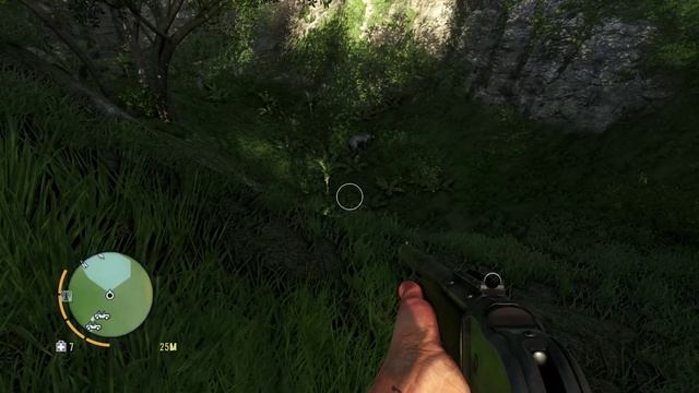 Far Cry 3 - 13 Еще раз