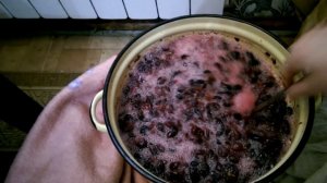 приготовление виноградного вина --- активное  брожение
