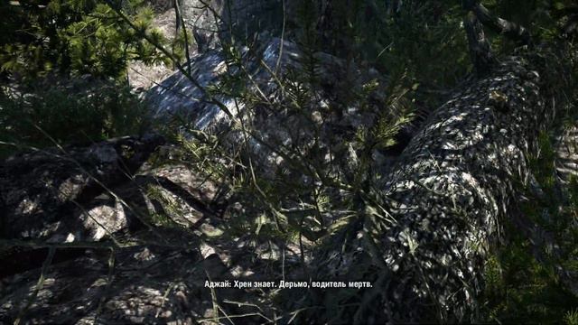 FAR CRY 4. Крепость Де Плёра смотреть онлайн