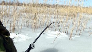 Рыбалки со льда на летние удочки! Сезон длинных начался! .mp4