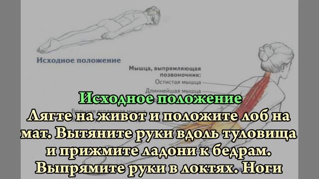 ПРОСТОЕ УПРАЖНЕНИЕ ДЛЯ ИДЕАЛЬНОЙ ОСАНКИ смотреть онлайн