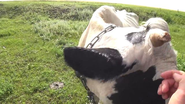 ЗАБРАЛА ДОКУМЕНТЫ И УЕХАЛА смотреть онлайн