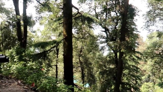 Dalhousie Vlog | देखिये हमारा Resort..Khajjiar में || Mosquito Repellent Spray | Indian Mom Studio