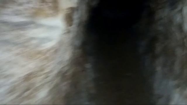 Поход в Передовое. Пещерный монастырь Челтер-Мармара . С. Терновка