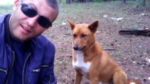 Волк В.-Красноярский край, Богучанский район, посёлок Ангарский.