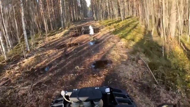 Весенний прохват по лесу на квадроцикле Stels Guepard 650 и немножко грязи. смотреть онлайн