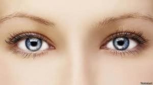 Нейрокомпьютерлік интерфейс . Ми мен компьютер арасындағы ақпарат алмасу жүйесі 9 сынып