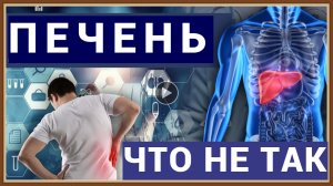 ПЕЧЕНЬ - ЧТО НЕ ТАК.mp4