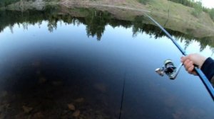 Лесной ручей vs карьер: где больше рыбы? Рыбалка на спиннинг и поплавок