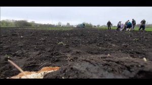 Лучший способ посадить картофель под лопату!!! Прекрасное завершение моего отпуска в деревне !!