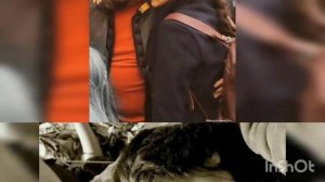 Бергюзар Корель 💟 Халит Эргенч - Веселая Прогулка!