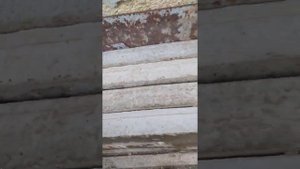 Самодельные формы для бетонных плит