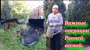 Уход за газоном самой ранней весной. Важные процедуры