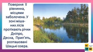 ЯДС УРОК 61 ПРИРОДНІ ЗОНИ УКРАЇНИ.  ПРИРОДНА ЗОНА МІШАНИХ ЛІСІВ 4 КЛАС