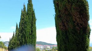 СОЧИ ПАРК ОТЕЛЬ. ДОРОГА ОТ МОРЯ К ОТЕЛЮ. КОНЕЦ МАЯ 2022.