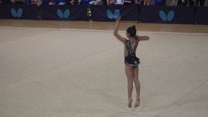 Чемпионат Брянской области по художественной гимнастеке