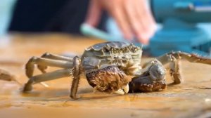 8 САМЫХ ОПАСНЫХ РАКООБРАЗНЫХ В МИРЕ