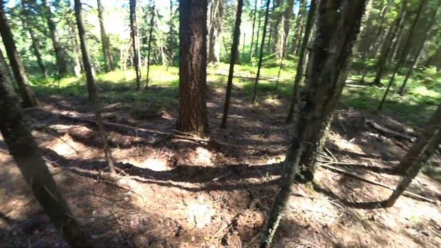 Ловушка для медведя смотреть онлайн