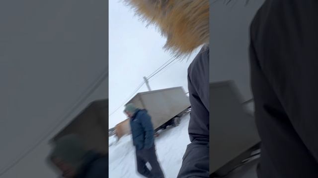 КОТ НА СТРОЙКЕ