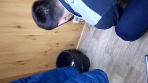 Провод в розетку. Гвоздь в розетку.