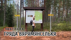 Экотропа «Гряда Вярямянселькя». Увидел старую Финскую ГЭС!