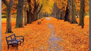 Фортепианные джазовые произведения