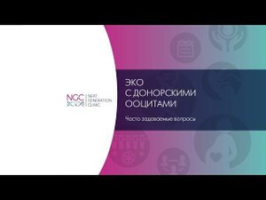 ЭКО с донорскими яйцеклетками – взгляд репродуктолога