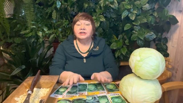 Какую белокочанную капусту выбрать? Топ - 11. смотреть онлайн