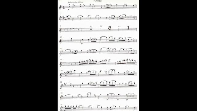 S.Mercadante Adagio alla Siciliana/Flute Concerto in D Major accompaniment смотреть онлайн