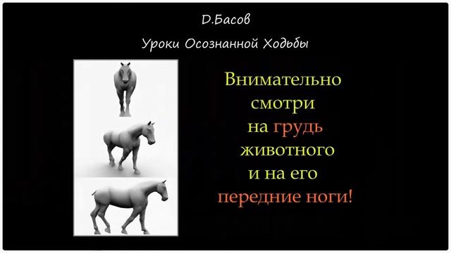 Колено в ходьбе. Сгибать или не сгибать? Ходьба. Урок#14.